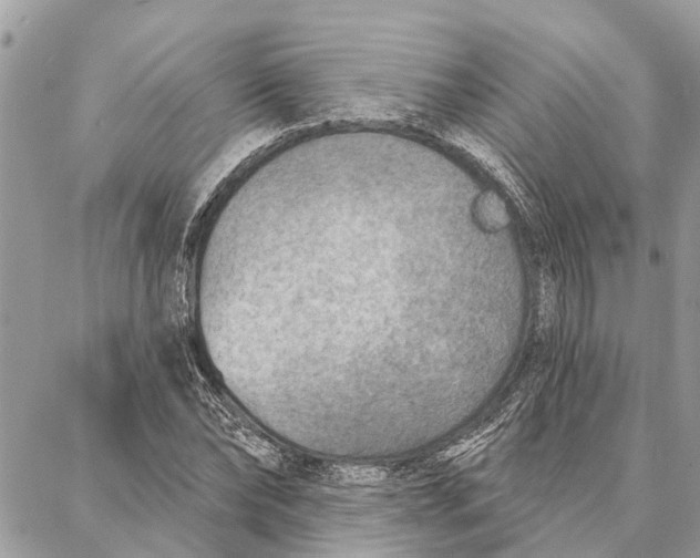 X0000086930878200705071350