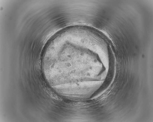 X0000086930879200705071350