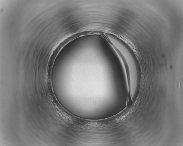 X0000086930880200705071350