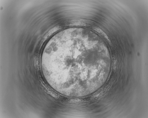 X0000086930882200705071350