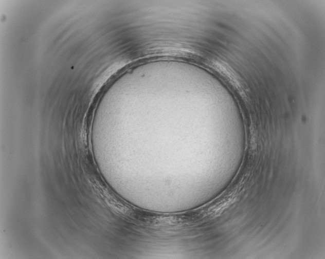 X0000086930883200705071350