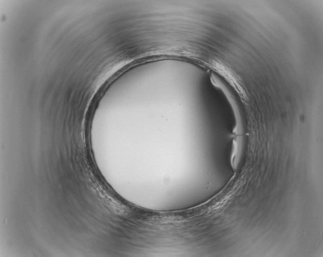 X0000086930884200705071350