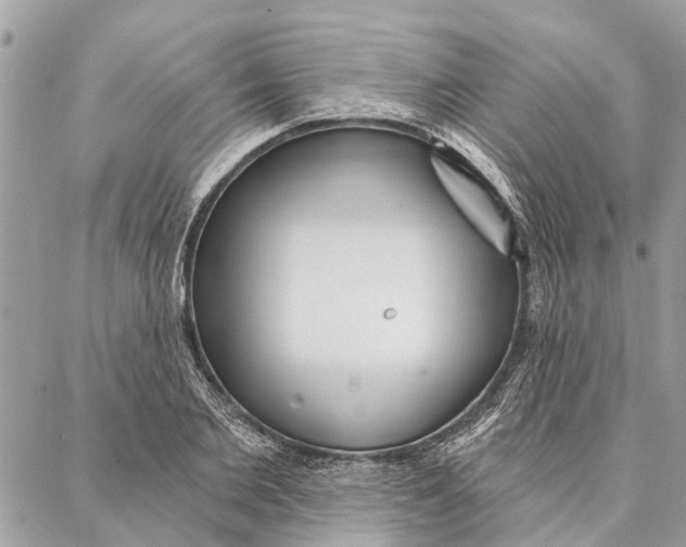 X0000086930885200705071350