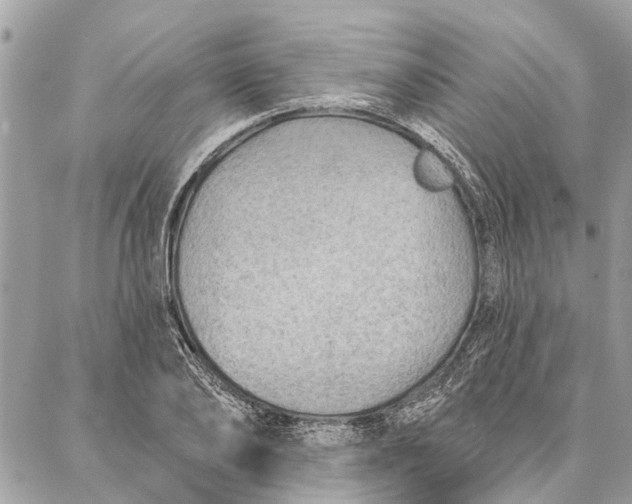 X0000086930886200705071350