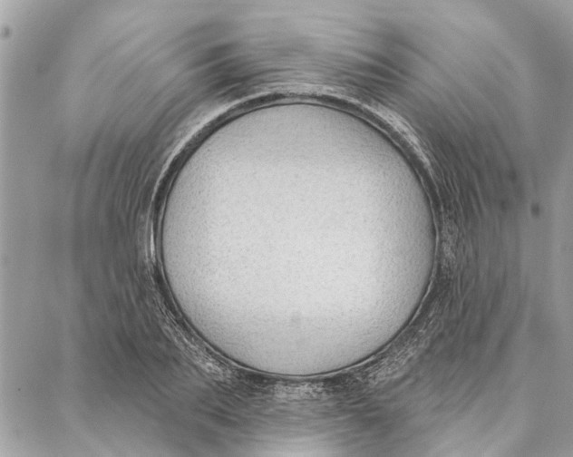 X0000086930887200705071350