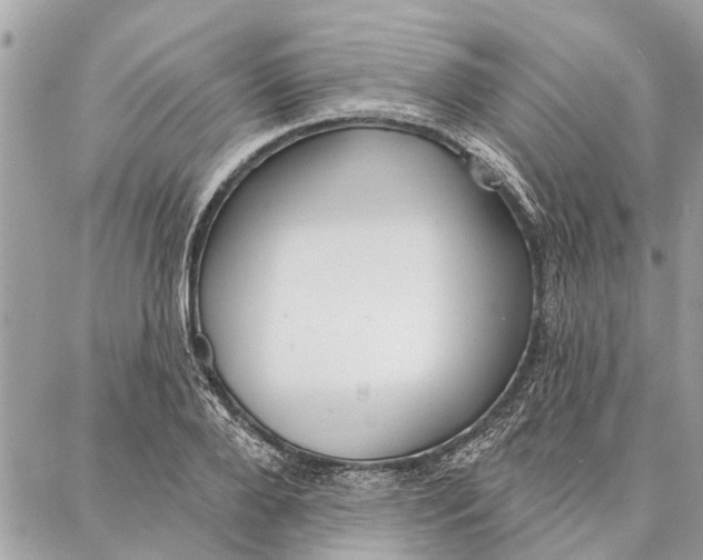 X0000086930888200705071350