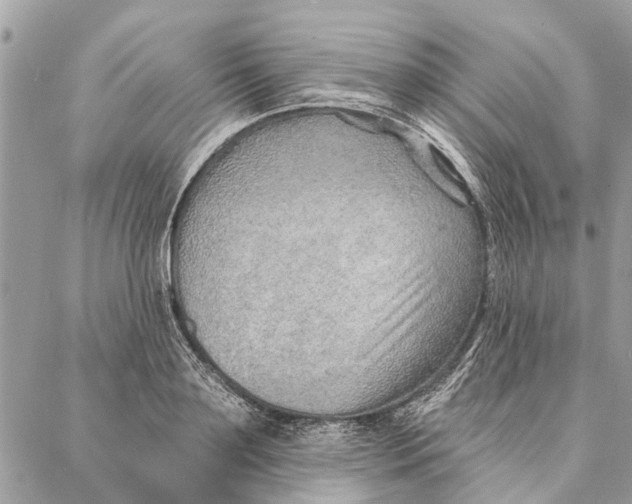 X0000086930891200705071350