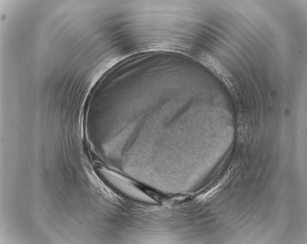 X0000086930892200705071350