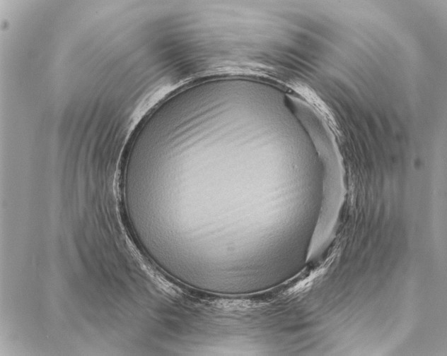 X0000086930893200705071350