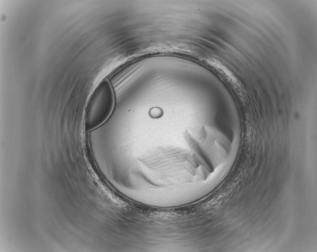 X0000086930894200705071350