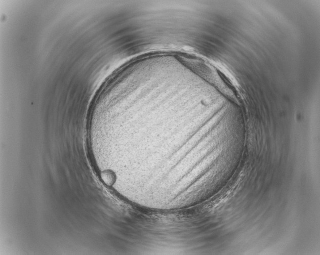 X0000086930895200705071350