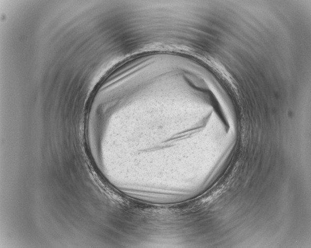 X0000086930896200705071350