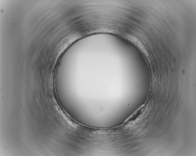 X0000086930898200705071350