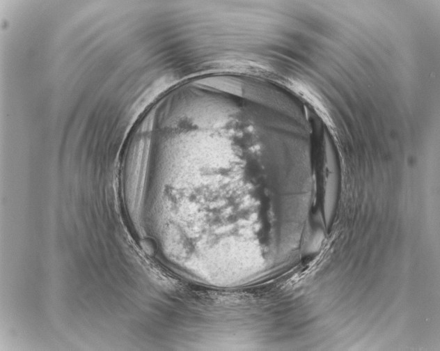 X0000086930899200705071350