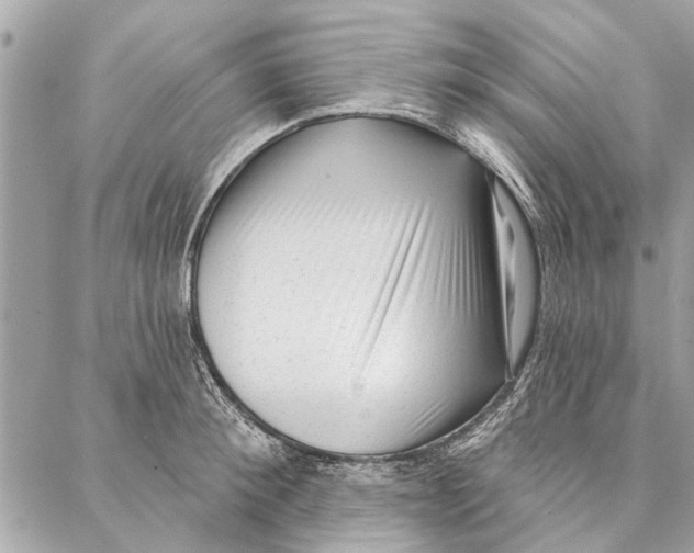 X0000086930900200705071350