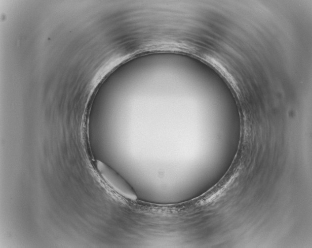 X0000086930901200705071350