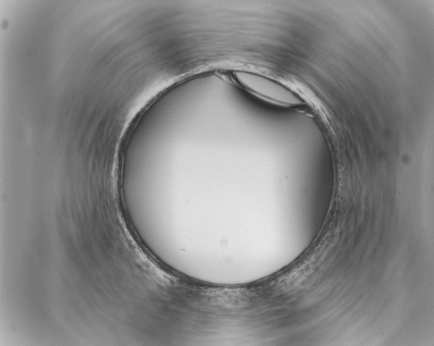 X0000086930902200705071350