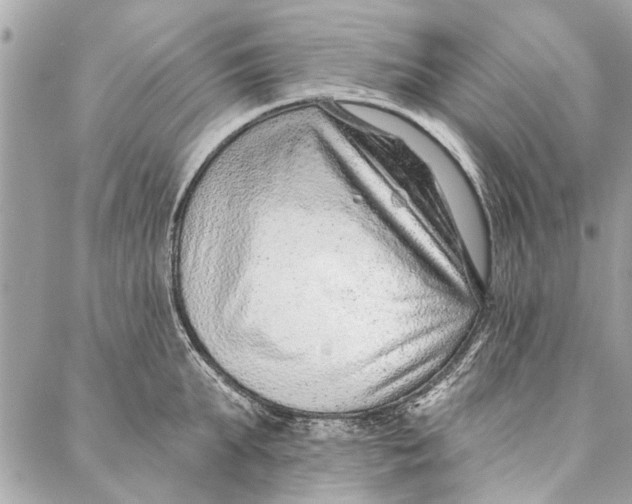 X0000086930903200705071350