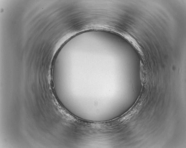 X0000086930904200705071350