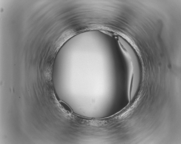 X0000086930905200705071350