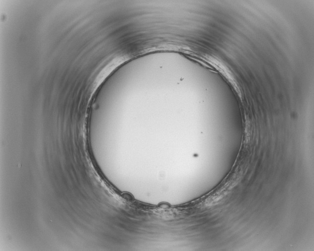 X0000086930906200705071350