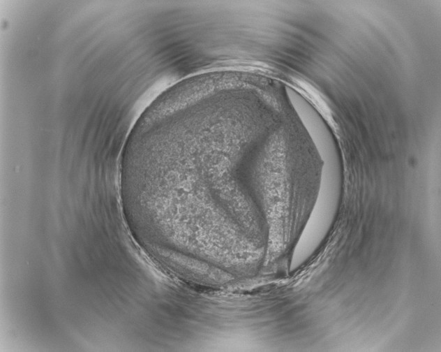 X0000086930907200705071350