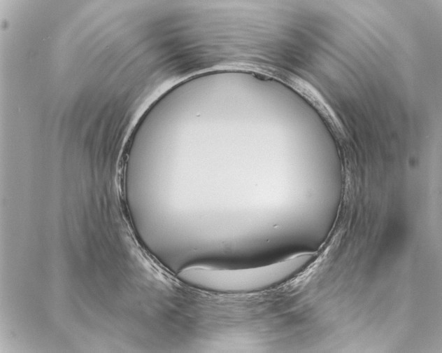 X0000086930908200705071350