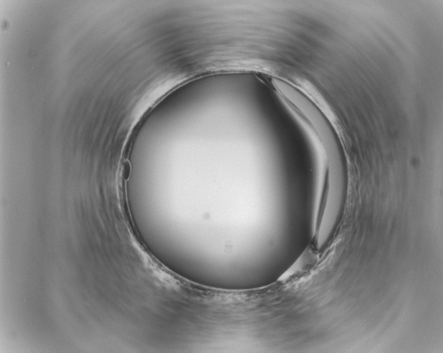 X0000086930909200705071350