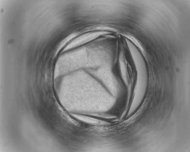 X0000086930910200705071350