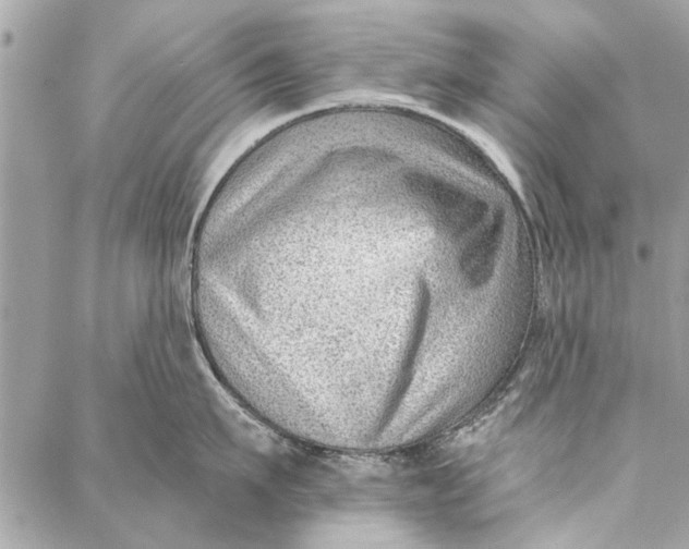 X0000086930911200705071350