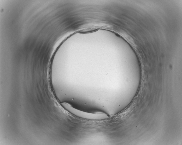 X0000086930912200705071350