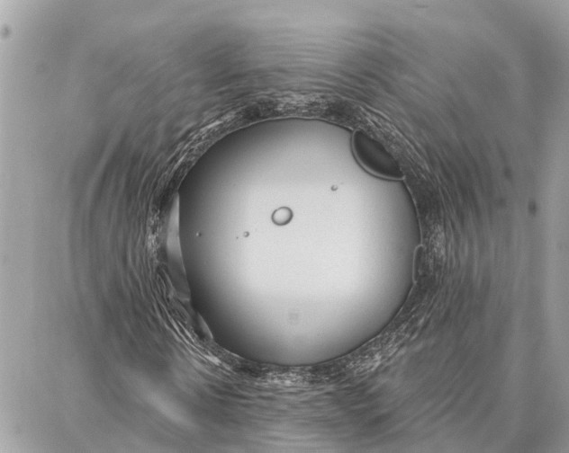 X0000086930914200705071349