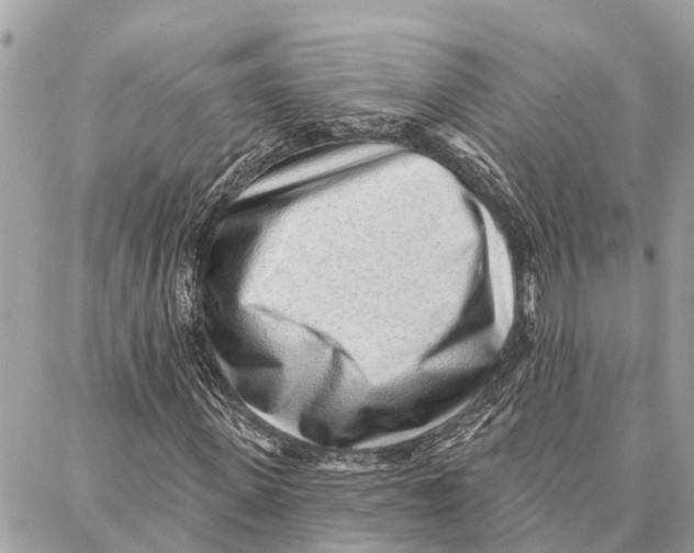 X0000086930915200705071349