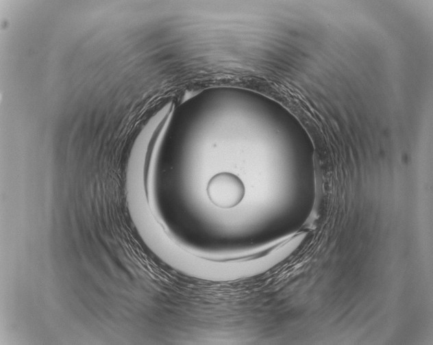 X0000086930916200705071349