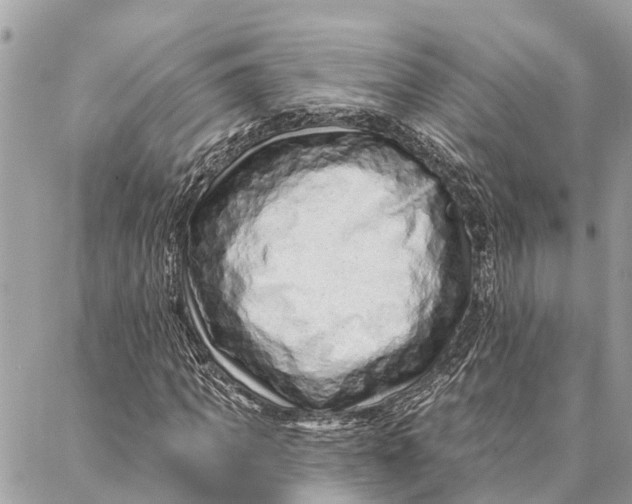 X0000086930917200705071349