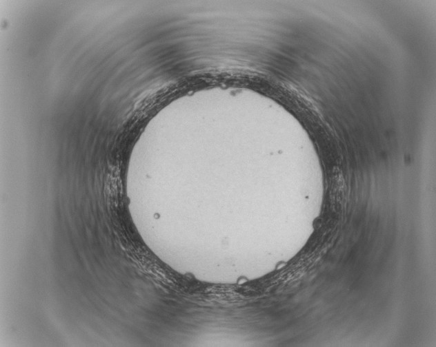 X0000086930918200705071349