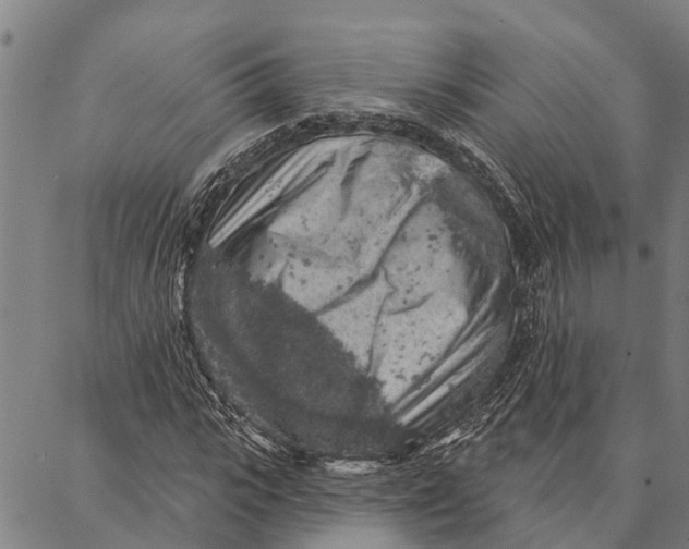 X0000086930919200705071349