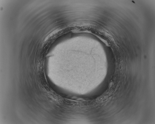 X0000086930920200705071349