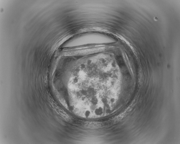 X0000086930921200705071349