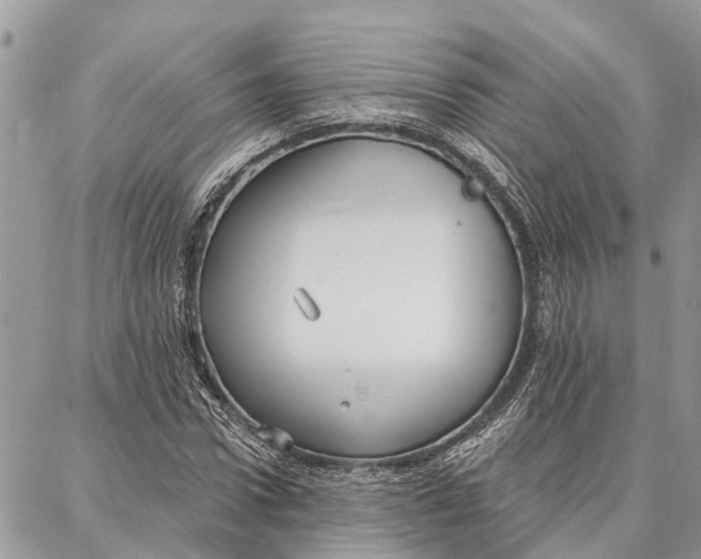 X0000086930922200705071349