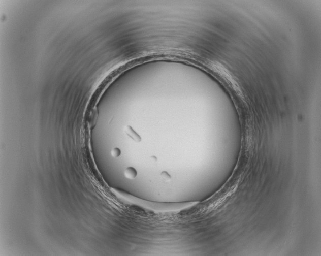 X0000086930924200705071349