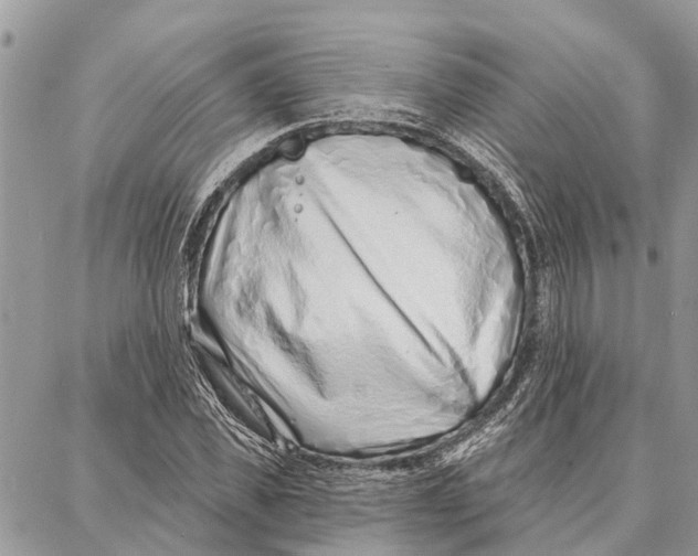 X0000086930925200705071349