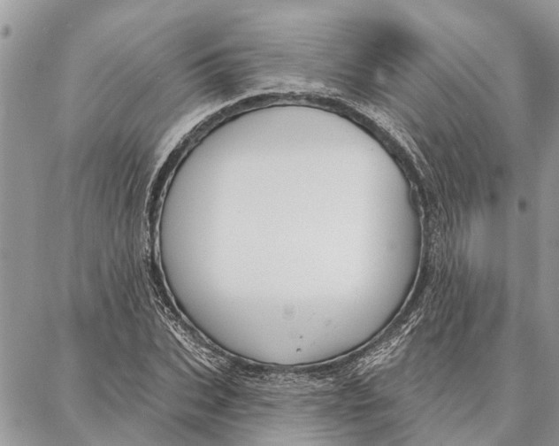 X0000086930927200705071349