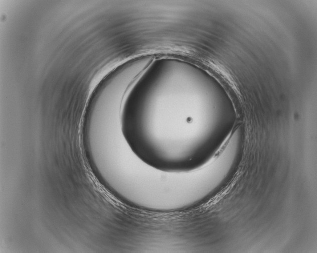 X0000086930928200705071349