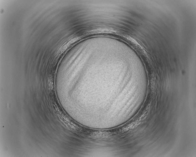 X0000086930929200705071349