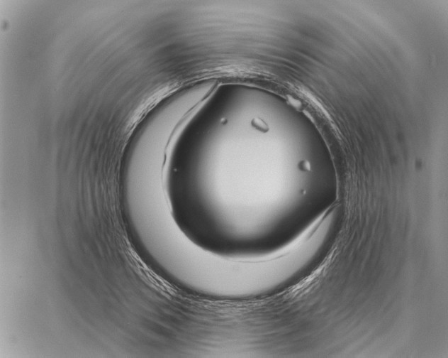 X0000086930930200705071349