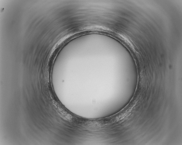 X0000086930931200705071349