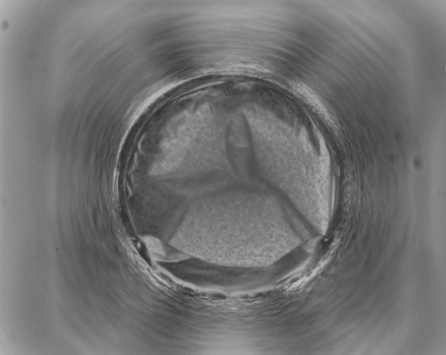 X0000086930932200705071349