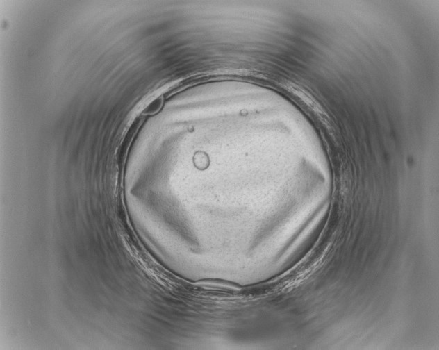 X0000086930933200705071349