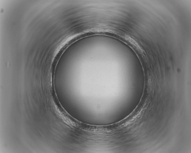 X0000086930934200705071349